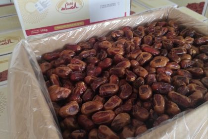 kurma khalas saad 10kg